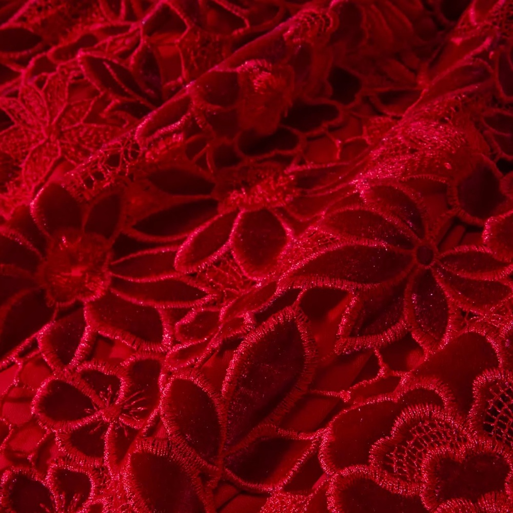 BOSTON PROPER
Mock Neck Velvet Lace Midi Dress
Excellent condition. Worn once - Picture 5 of 13